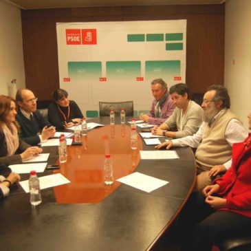 Reunión en el Parlamento de Andalucía 25/01/2012